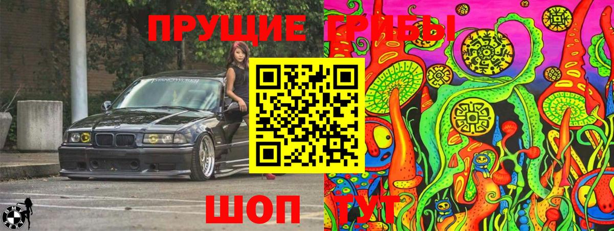 Псилоцибиновые грибы Magic Shrooms Тамбов