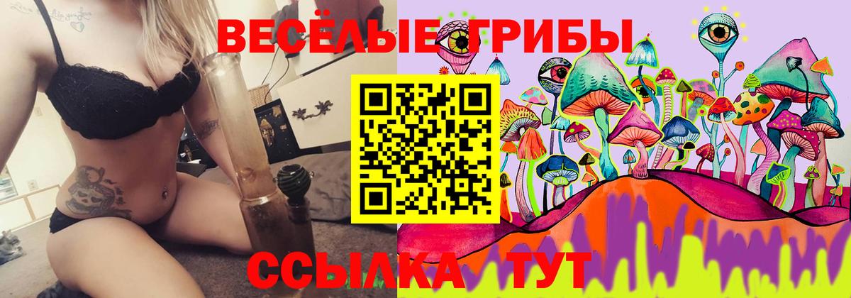 Псилоцибиновые грибы мицелий  Вход с VPN  Тамбов 